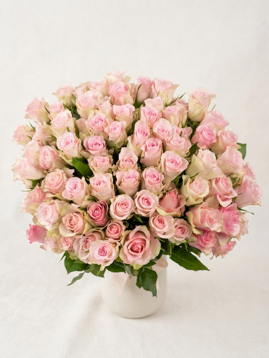 Incanto Rosa Premium