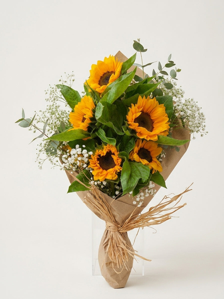 Girasoli  5