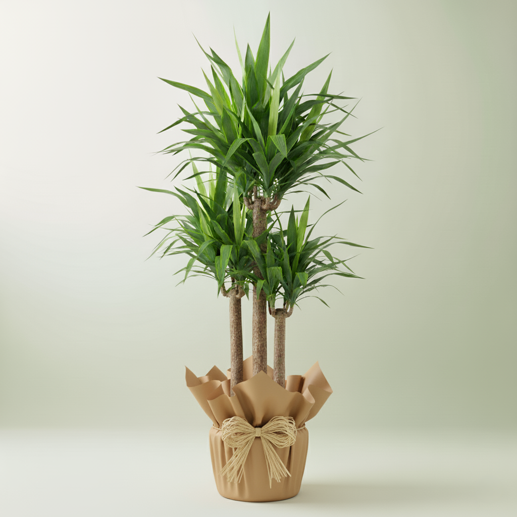 Tronchetto della Felicità: Essenza di Stabilità