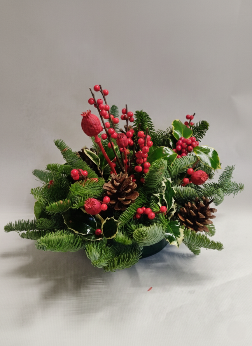 Armonia Natalizia Naturale