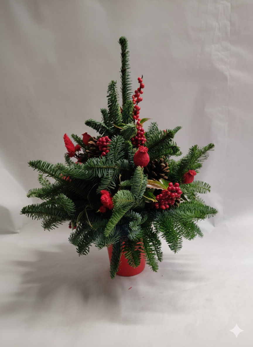 Composizione Natalizia